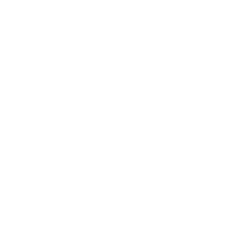Logo Nex One Pereira Coutinho